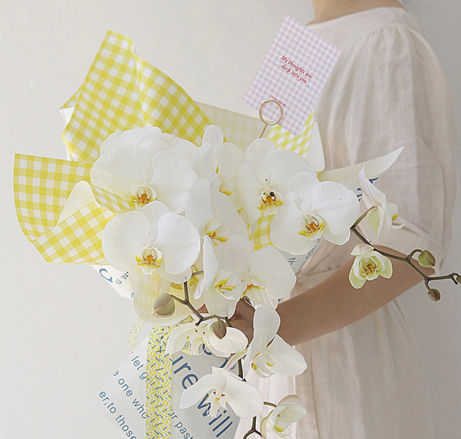 Summer Grid Waterproof Korean-Style Wrapping Paper